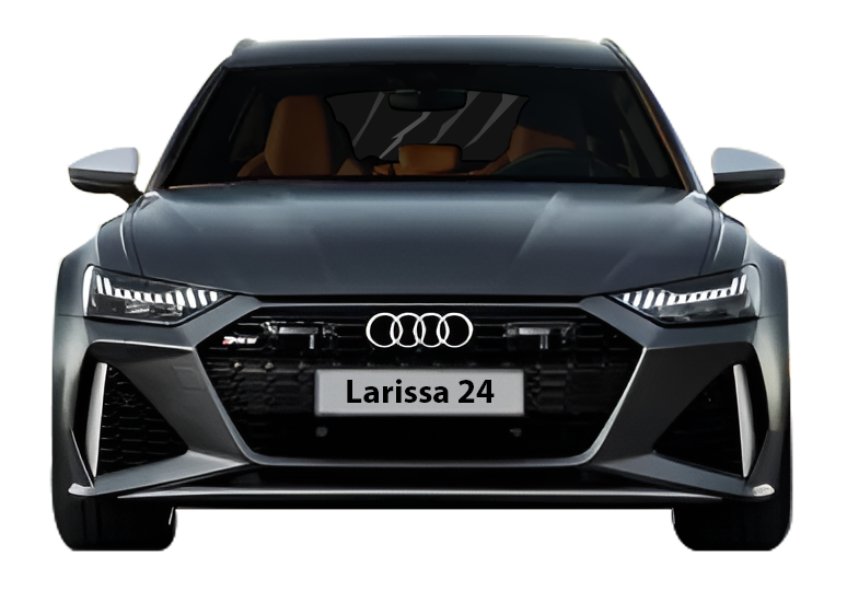 AUDI RS6